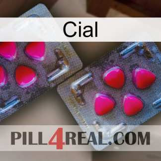 Cial 15